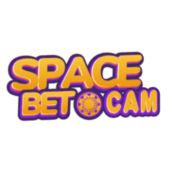 what does sudoku mean in japanese
